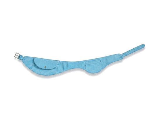 Aqua Belt Bag